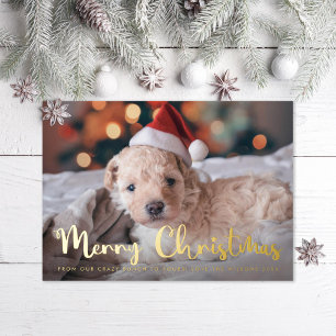Fun Merry Christmas Pet Photo Foil Holiday Card