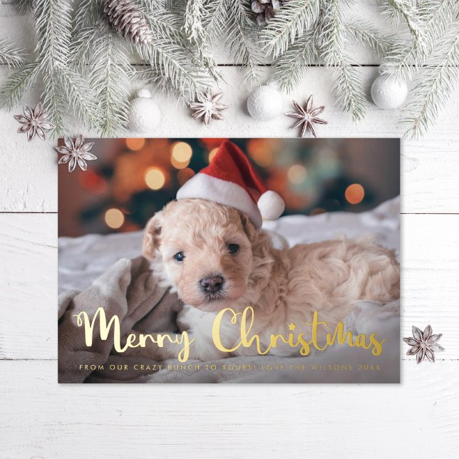 Fun Merry Christmas Pet Photo Foil Holiday Card (Creator Uploaded)