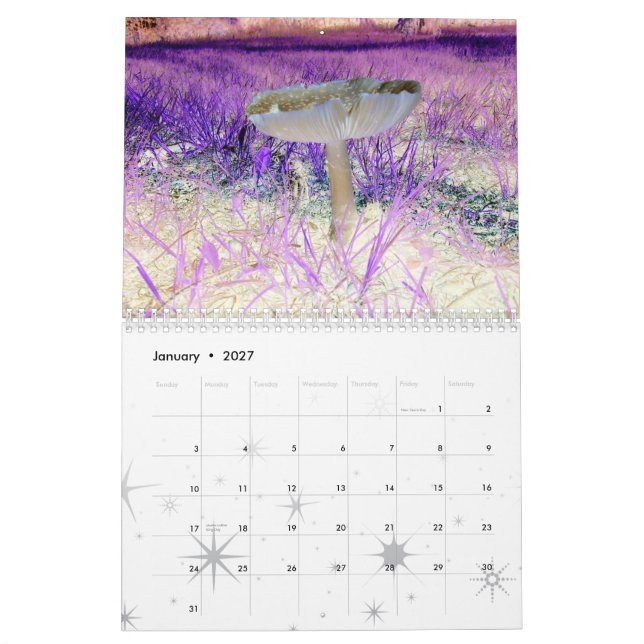 Fun Mix-Multi-Designs-Calendar Calendar (Jan 2027)