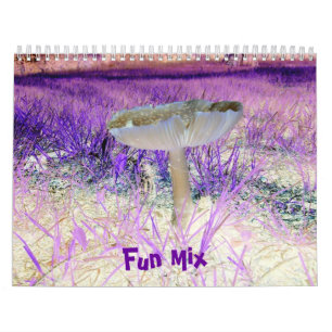 Fun Mix-Multi-Designs-Calendar Calendar