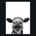 Fun Modern Black White Cow Rustic Farmhouse  Poster<br><div class="desc">This design may be personalized by choosing the Edit Design option. You may also transfer onto other items. Contact me at colorflowcreations@gmail.com or use the chat option at the top of the page if you wish to have this design on another product or need assistance. See more of my designs...</div>