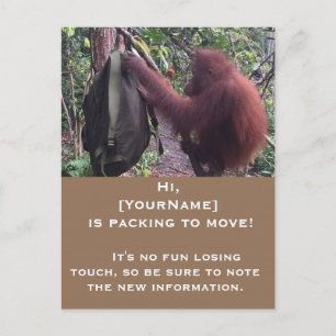 Fun Moving Announcement Change of Address Postcard