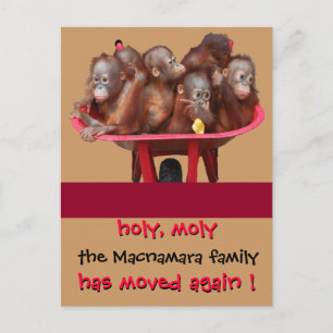 Fun Moving New Address Announcement Postcard