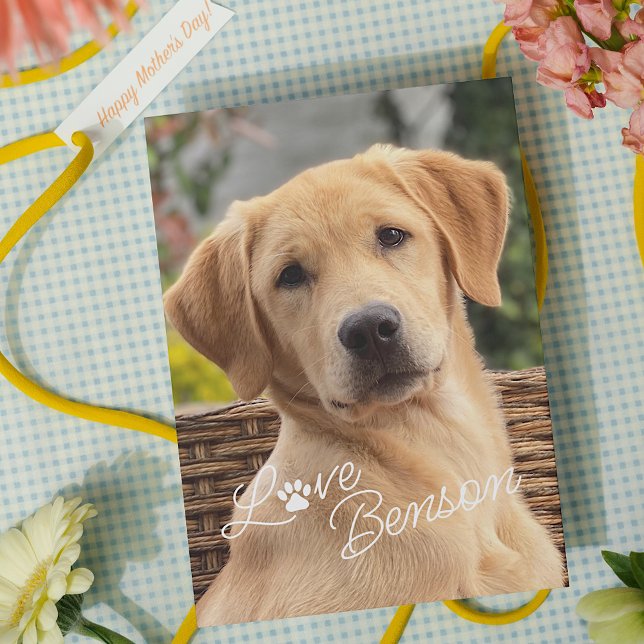 Fun My Best Friend Picture Love Paw Print Card (Creator Uploaded)