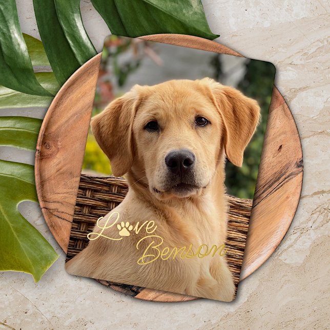 Fun My Best Friend Picture Love Paw Print Foil Holiday Card (Creator Uploaded)