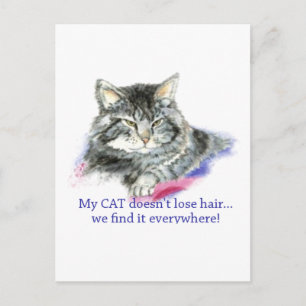 Fun My Cat Doesn't Lose Hair, It's Everywhere Postcard