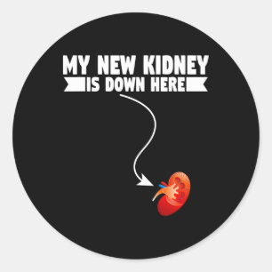 Fun My New Kidney Is Down Here Kidney Disease Classic Round Sticker
