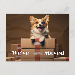 Fun New Address Reminder, New Home  Postcard