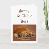 Fun "No Fox Given" Boss Birthday Animal Humour
