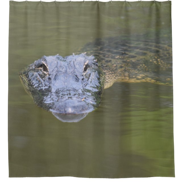 Fun Novelty Aligator Swamp Gator Wildlife Animal Shower Curtain (Front)