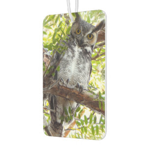 Fun Owl Looking At You Car Air Freshener