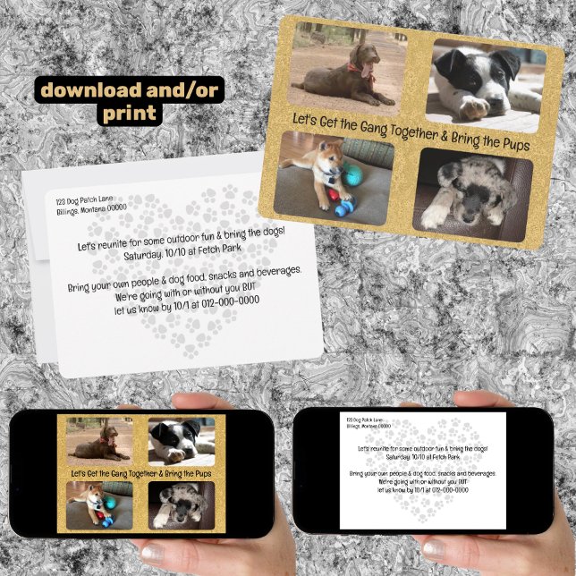 Fun Party Four Replaceable Photo Flat Invite (outdoor invitation with four replaceable photos and downloadable)