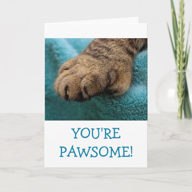 Fun Pawsome Cat Paw Birthday Card (Front)