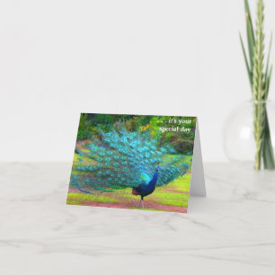 Fun Peacock Birthday Card