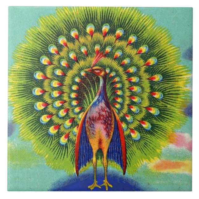 fun peacock print ceramic tile (Front)