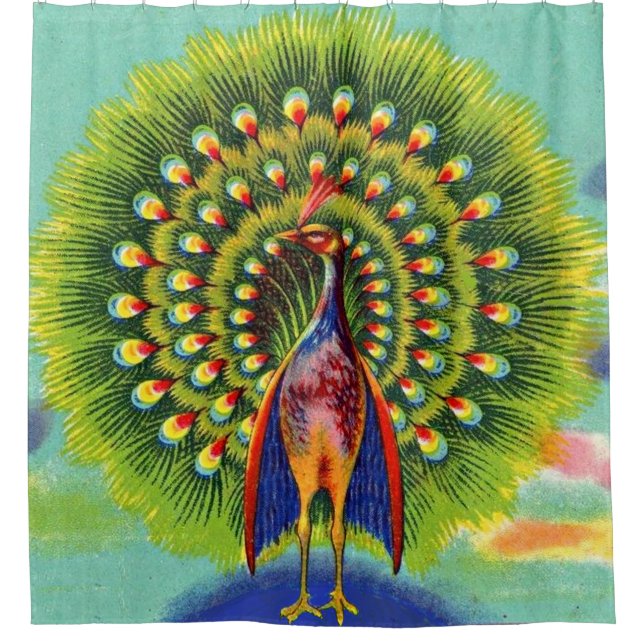 fun peacock print shower curtain (Front)