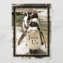 Fun Penguin Photo Zoo Wedding Invitations
