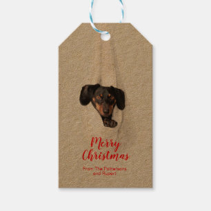 Fun Pet Family Puppy Dog Christmas Photo Gift Tags