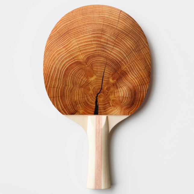 Fun photo of cut tree wood with split ping pong paddle (Front)