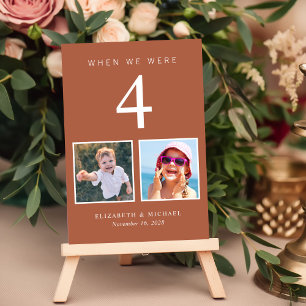 Fun Photo Terracotta Wedding Table Number