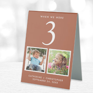 Fun Photos Terracotta Wedding Table Number