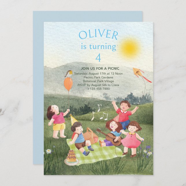 Fun Picnic Birthday Boy Garden Party Invitation (Front/Back)