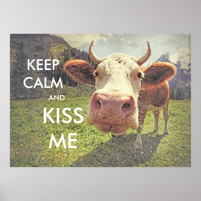 fun poster KEEP CALM (Front)