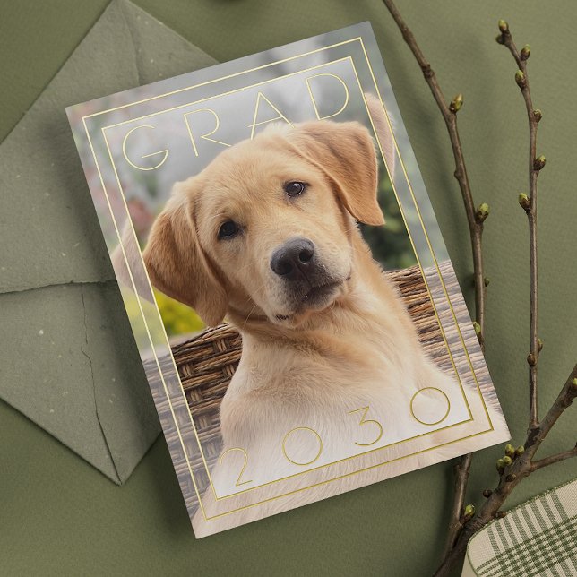 Fun Puppy School Gold Foil Graduation Announcement (Creator Uploaded)