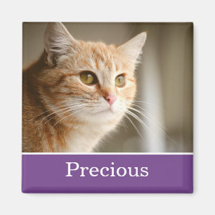 Fun Purple Personalised Pet Photo Magnet