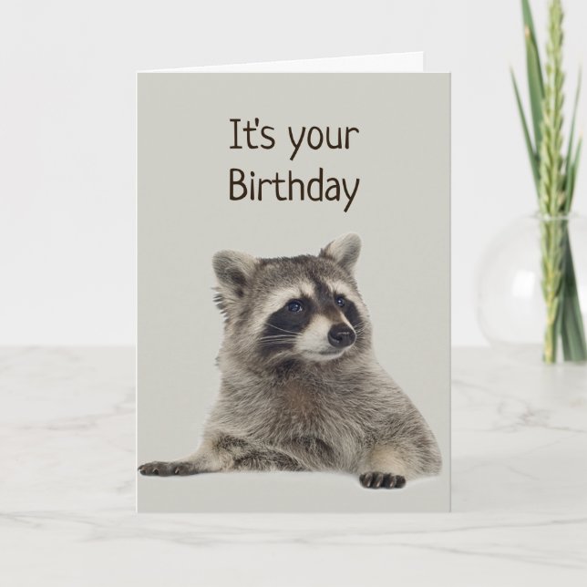 Fun Racoon Doesn't Have Money for Gift Card (Front)