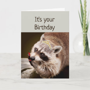 Fun Racoon Getting Dressed up Nails Done Card