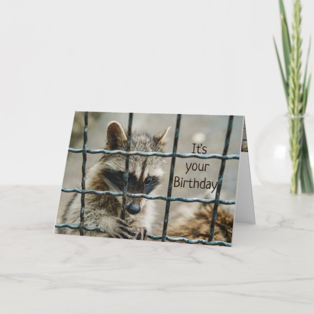 Fun Racoon You Captured My Heart Love You Card (Front)