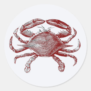 Fun Red Pencil Sketch Crab with Coastal Party Vibe Classic Round Sticker