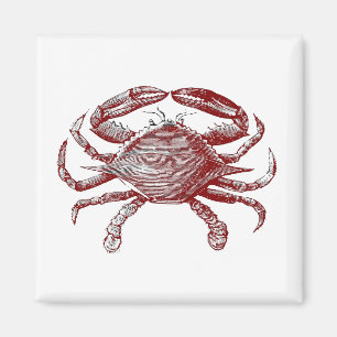 Fun Red Pencil Sketch Crab with Coastal Party Vibe Magnet