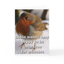 Fun Robin Christmas Card