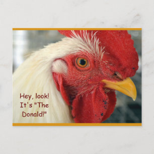 Fun Rooster Postcard "Hey, Look! It's The Donald!"