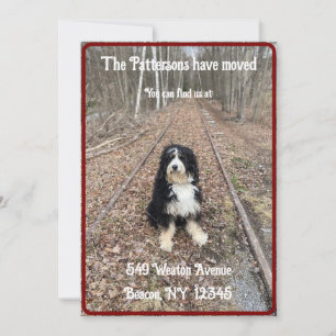 Fun, rustic with dog moving announcement card