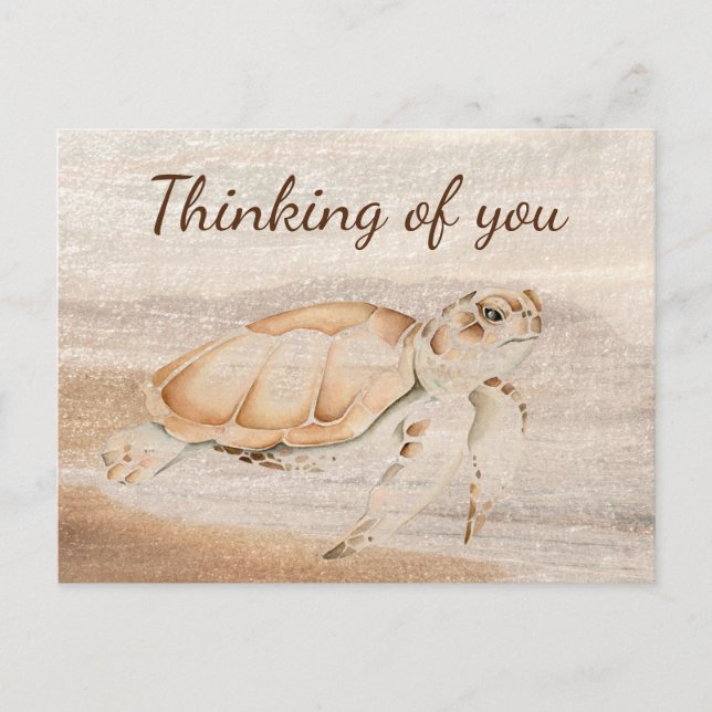  Fun Sea Turtle Cute Animal Art Thinking of you Postcard (Front)