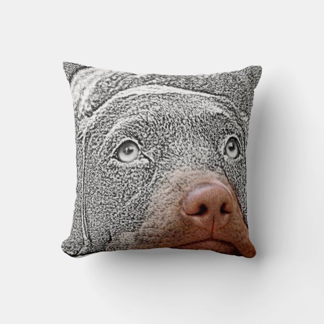 Fun Selective Colour Dog Photo Accent Pillows (Front)