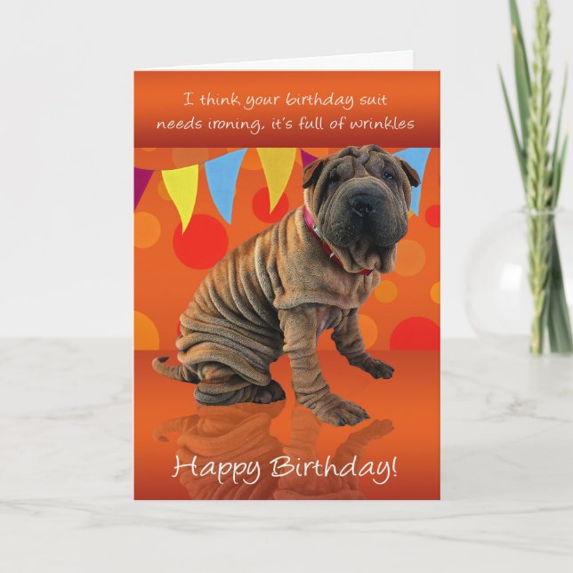 Fun Shar Pei Birthday Card With Birthday Humour (Front)