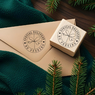 Fun Special Delivery No Peeking Kraft Paper Parcel Rubber Stamp