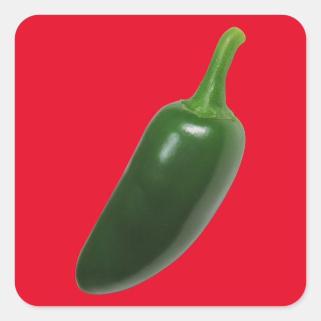 Fun & Spicy Jalapeno Pepper Square Sticker (Front)