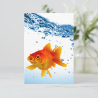 Fun Unique Goldfish Fish Bowl Water