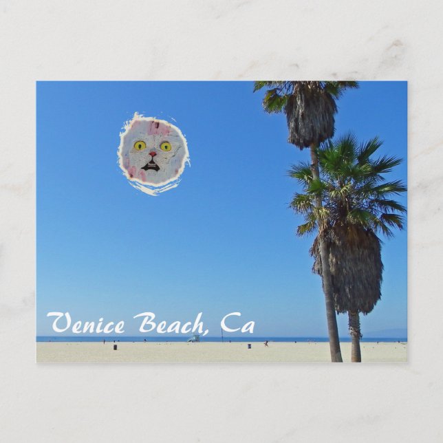 Fun Venice Beach Postcard! Postcard (Front)