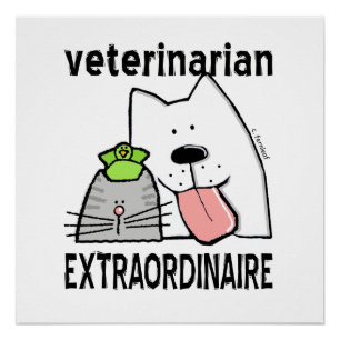 Fun Veterinarian Extraordinaire Poster