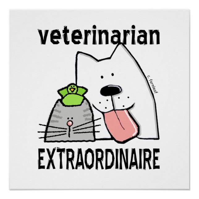 Fun Veterinarian Extraordinaire Poster (Front)