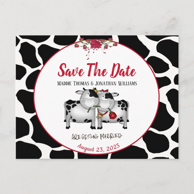 Fun Wedding Cows Save the Date Postcard (Front)