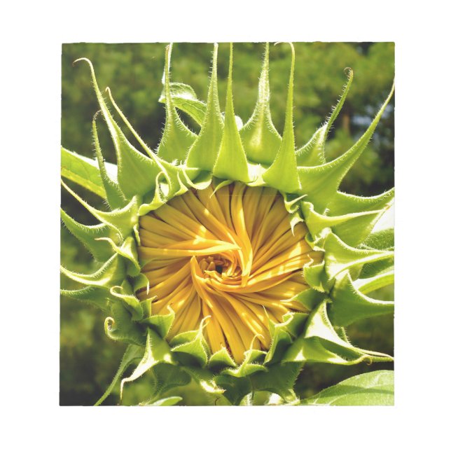 Fun yellow floral Sunflower Notepad (Front)
