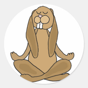 Fun Zen Bunny Rabbit in Yoga Pose Classic Round Sticker