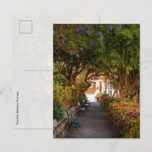 Funchal city park, Madeira Postcard